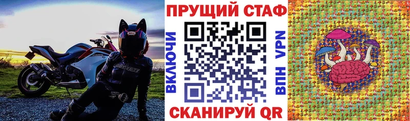 Где купить Новая Ладога Конопля  Меф мяу мяу  АМФ  LSD-25  СК  ГАШИШ 