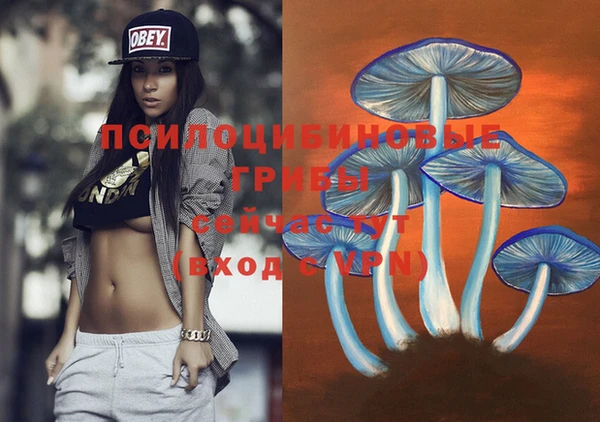 а пвп мука Медвежьегорск